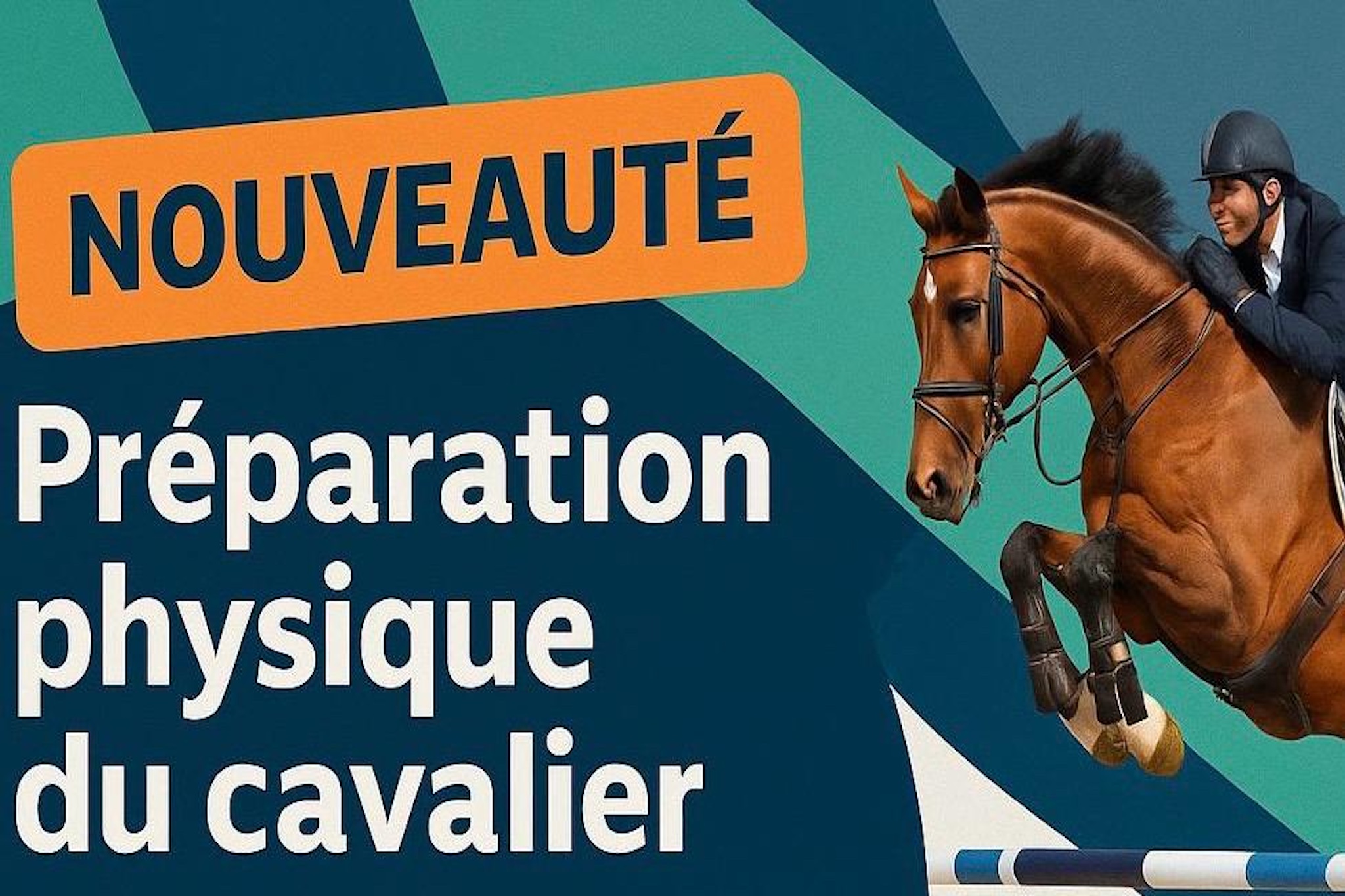 La préparation physique du cavalier
